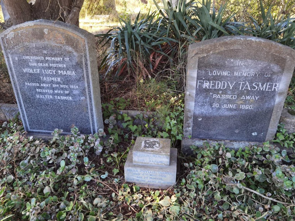 TASMER Freddy -1960 :: TASMER Violet Lucy Maria -1956 :: TASMER Hilda Phyllis -1926