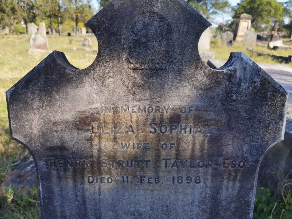 TAYLOR Eliza Sophia -1898