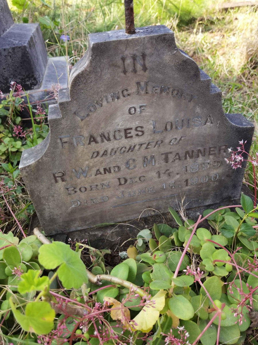 TANNER Frances Louisa 1899-1900