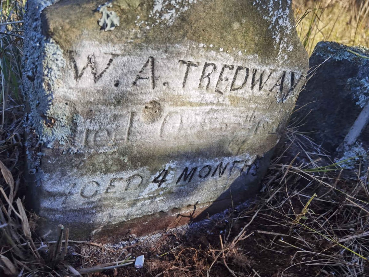 TREDWAY W.A.