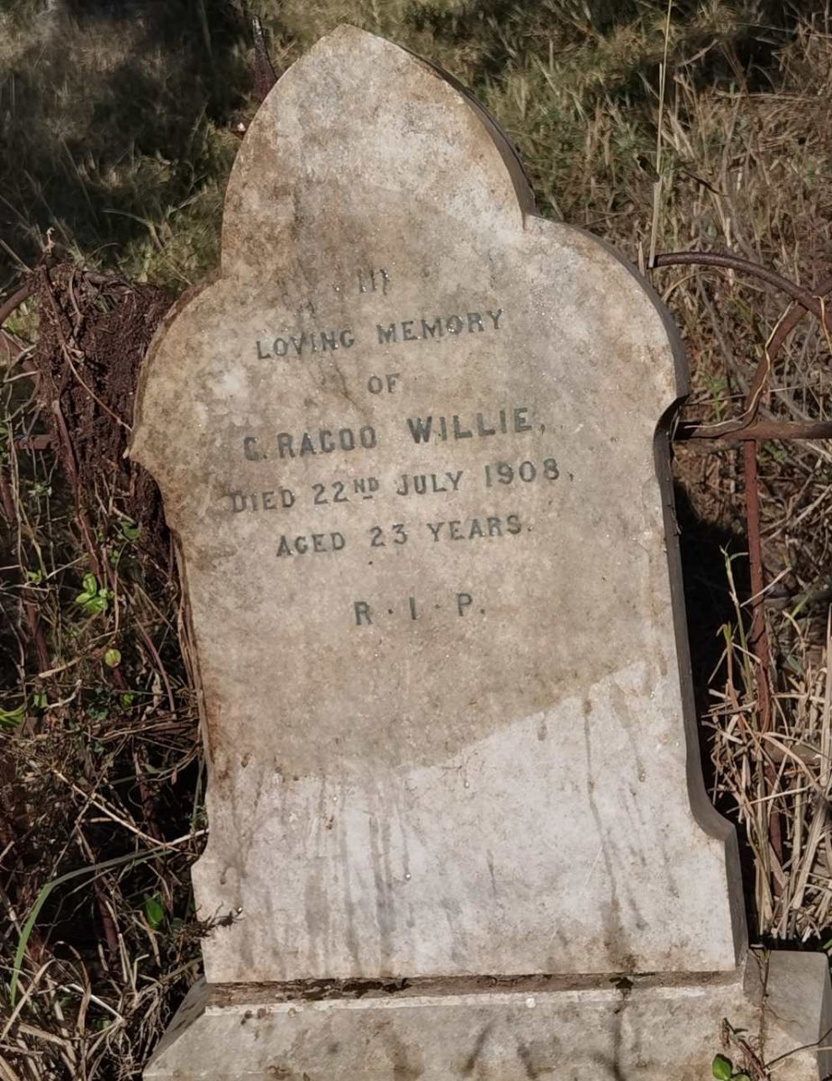 WILLIE ? Racoo -1908