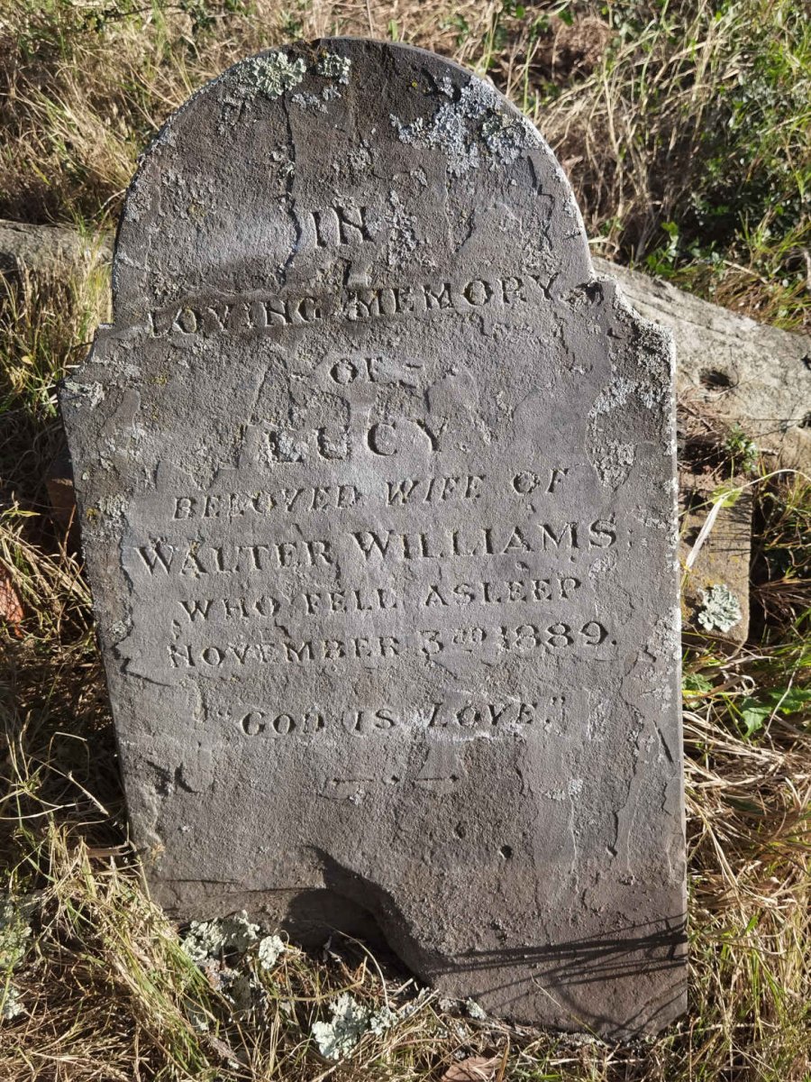 WILLIAMS Lucy -1889