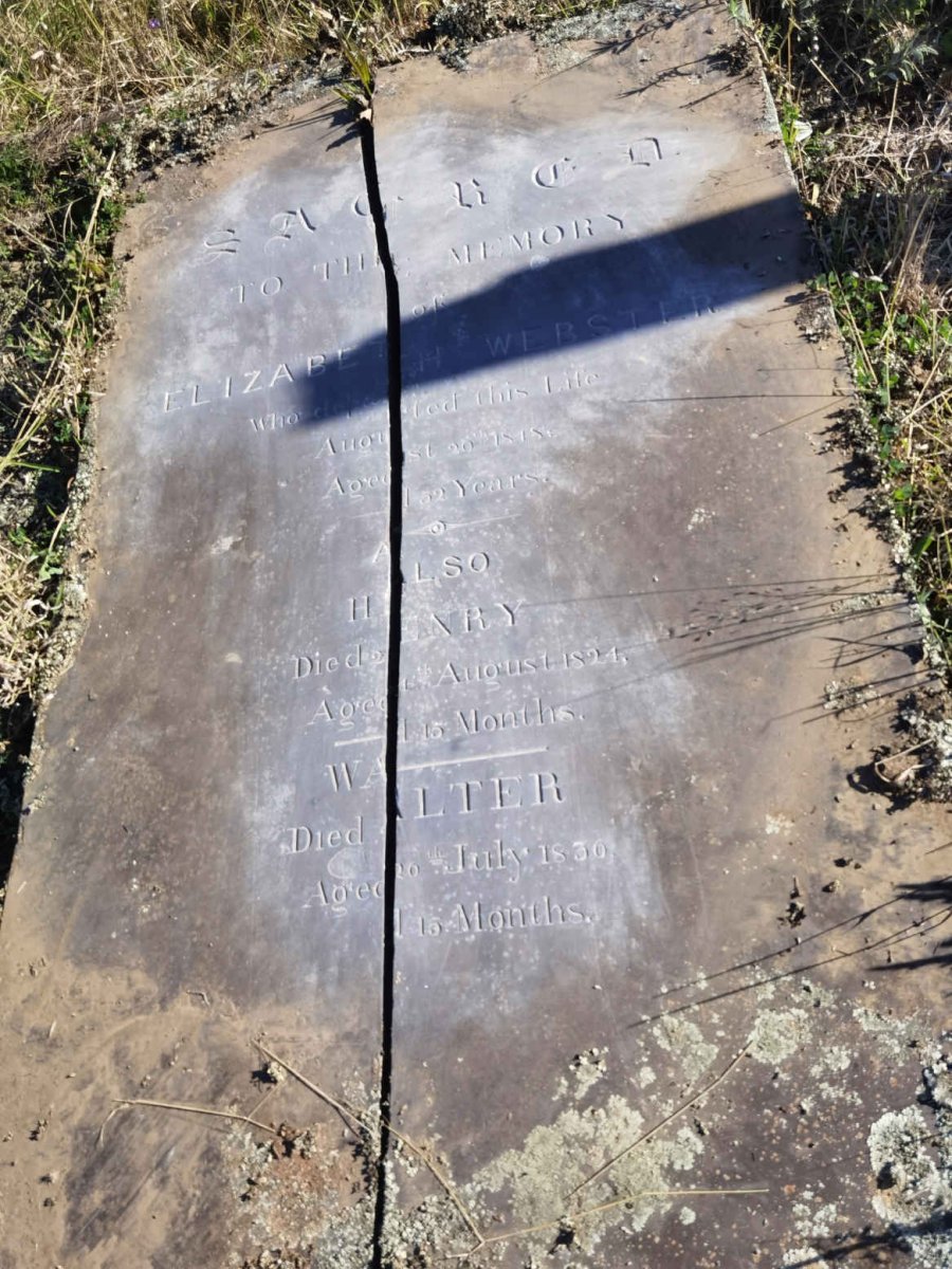 WEBSTER Elizabeth -1848 :: WEBSTER Henry -1824 :: WEBSTER Walter -1830