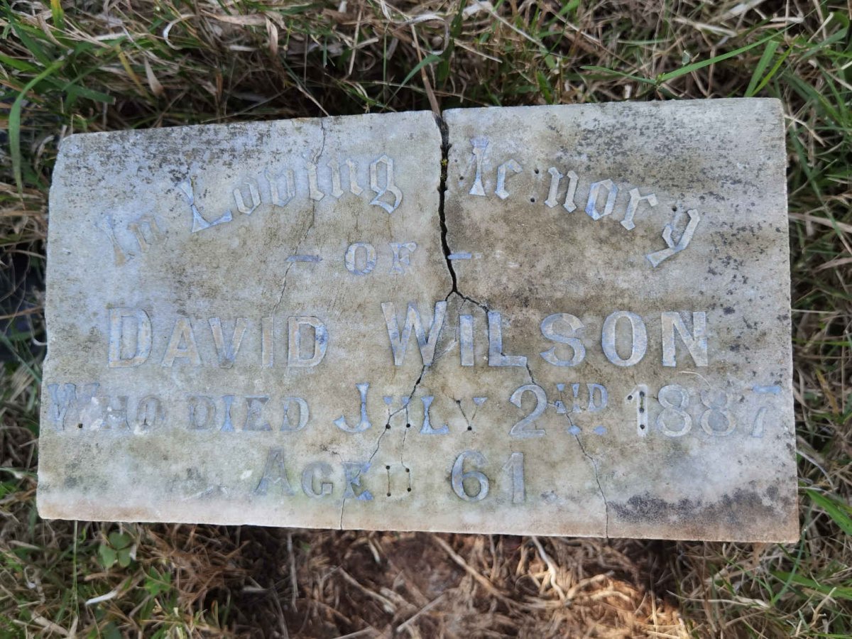 WILSON David -1887