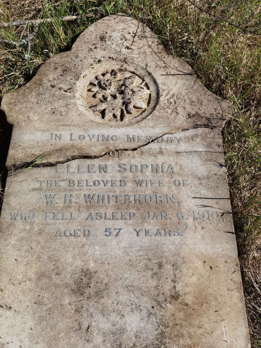 WHITEHORN Ellen Sophia -1910