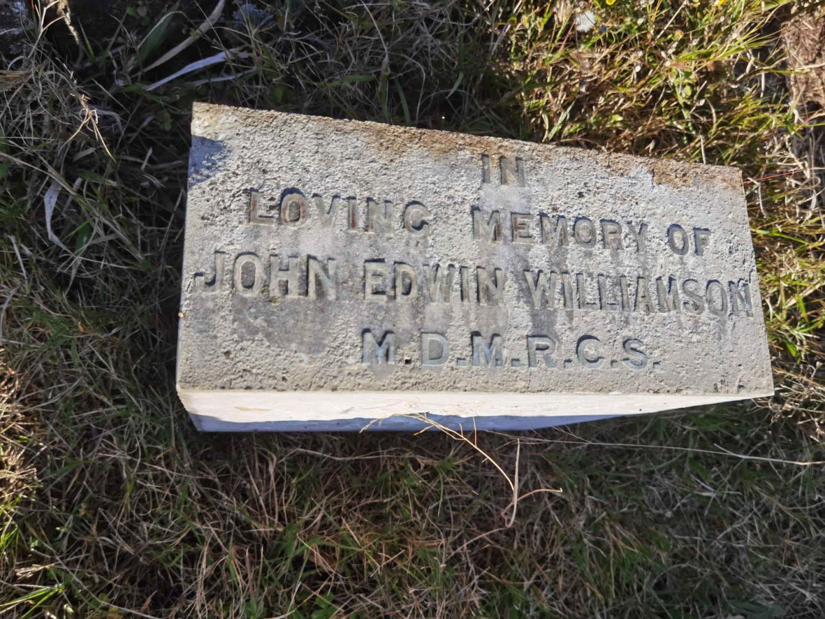 WILLIAMSON John Edwin -1880 _1