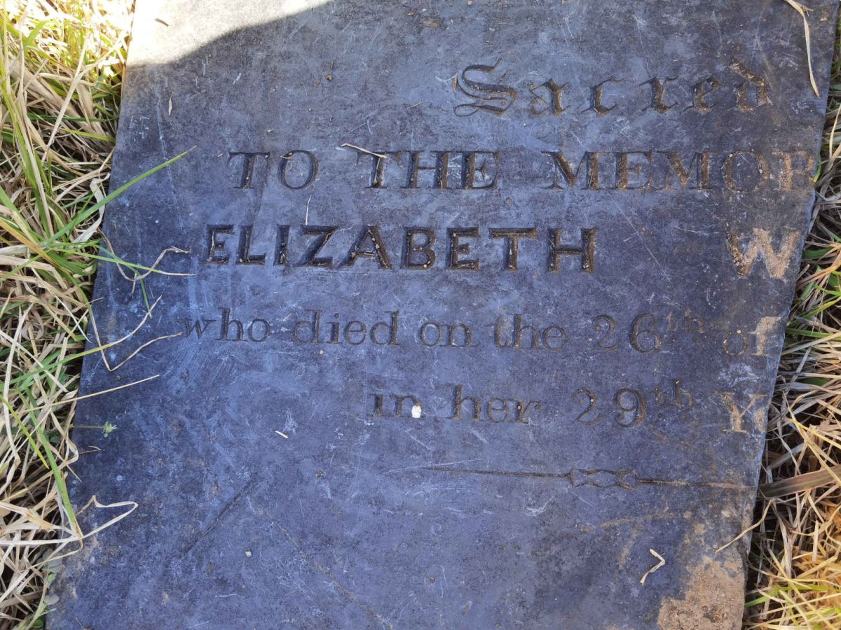 W? Elizabeth