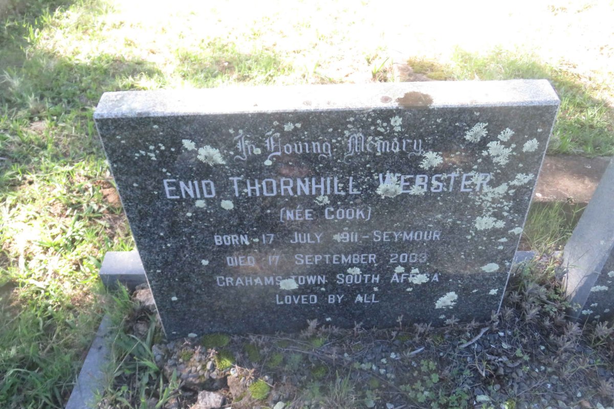 WEBSTER Enid Thornhill nee COOK 1911-2003