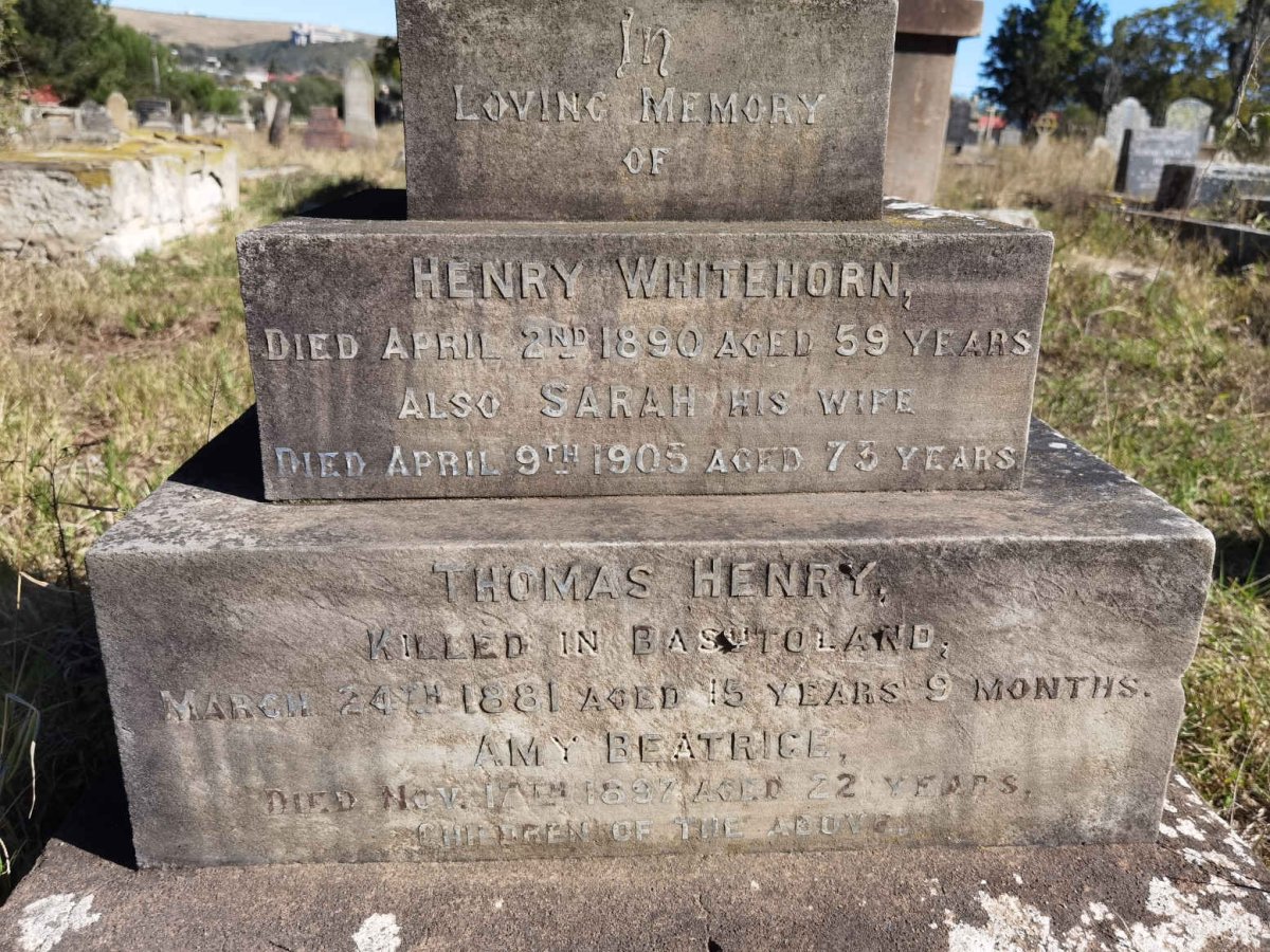 WHITEHORN Henry -1890 & Sarah -1905 :: WHITEHORN Thomas Henry -1881 :: WHITEHORN Amy Beatrice -1897