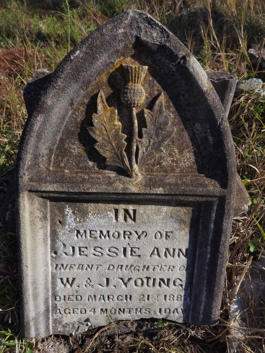 YOUNG Jessie Ann -1887