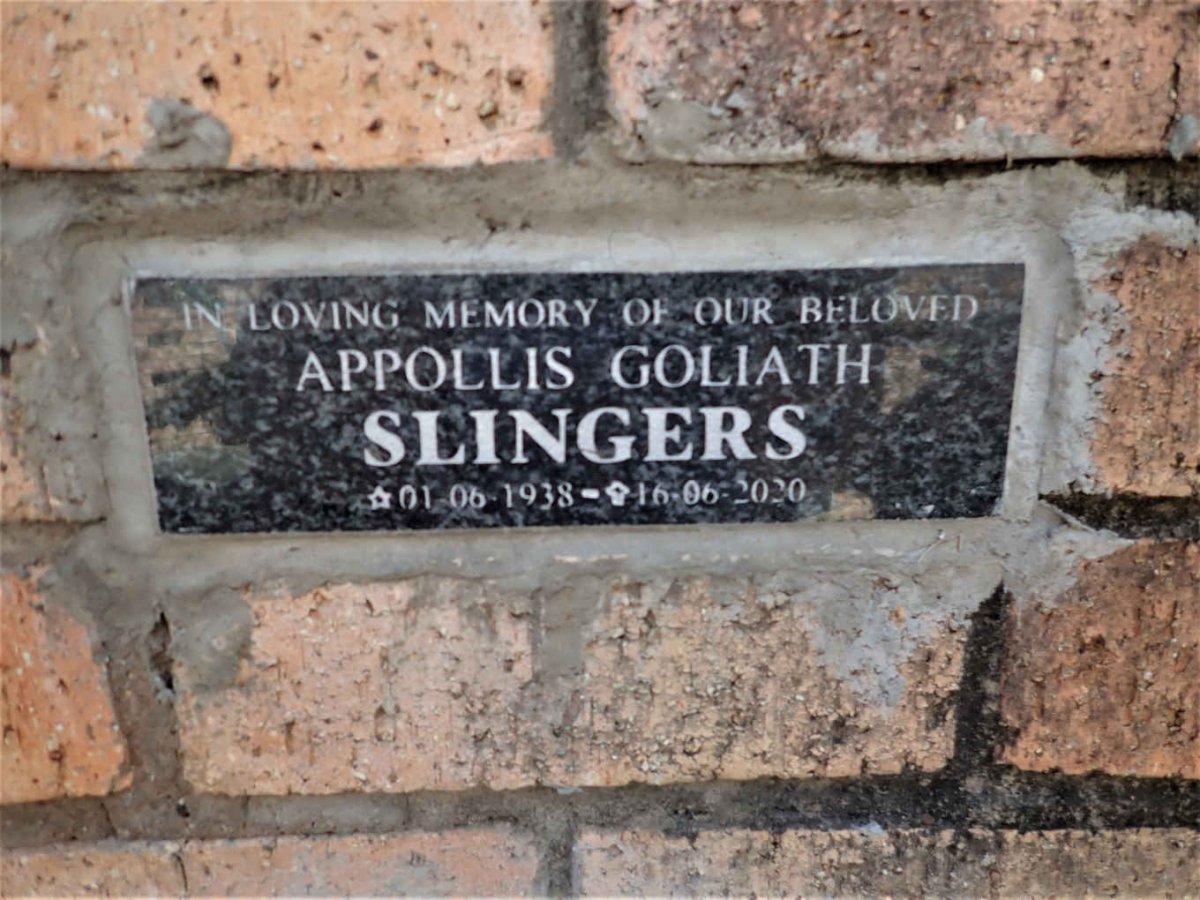 SLINGERS Appollis Goliath 1938-2020