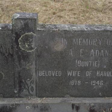 ADAN A.E. 1878-1946