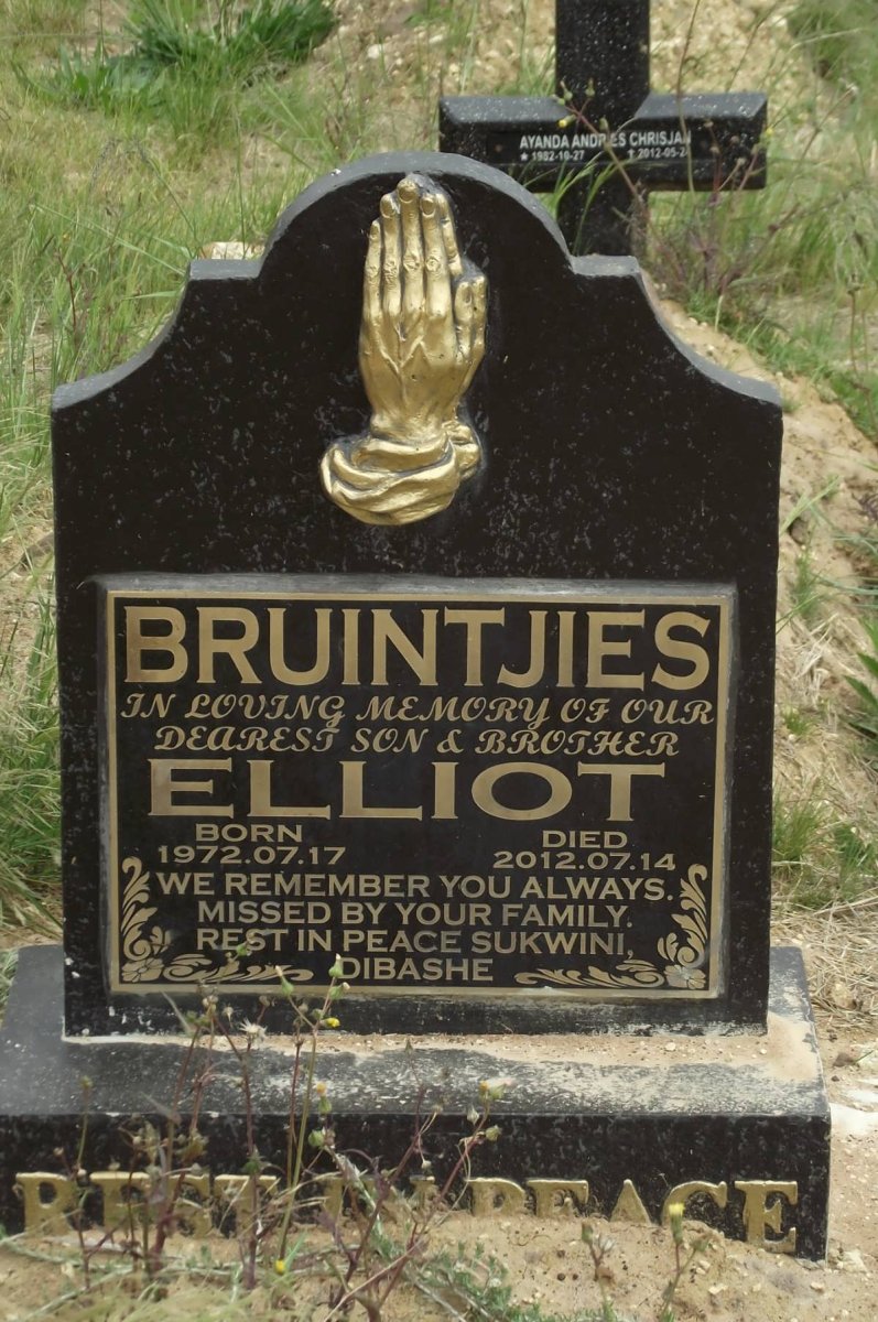 BRUINTJIES Elliot 1972-2012