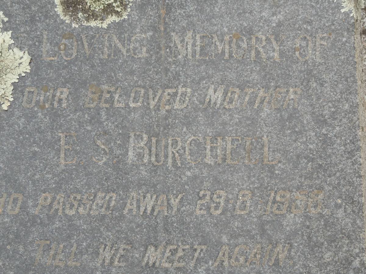 BURCHELL E.S.  -1958