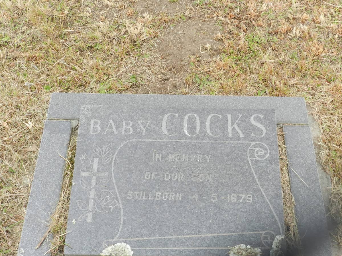 COCKS ? -1979