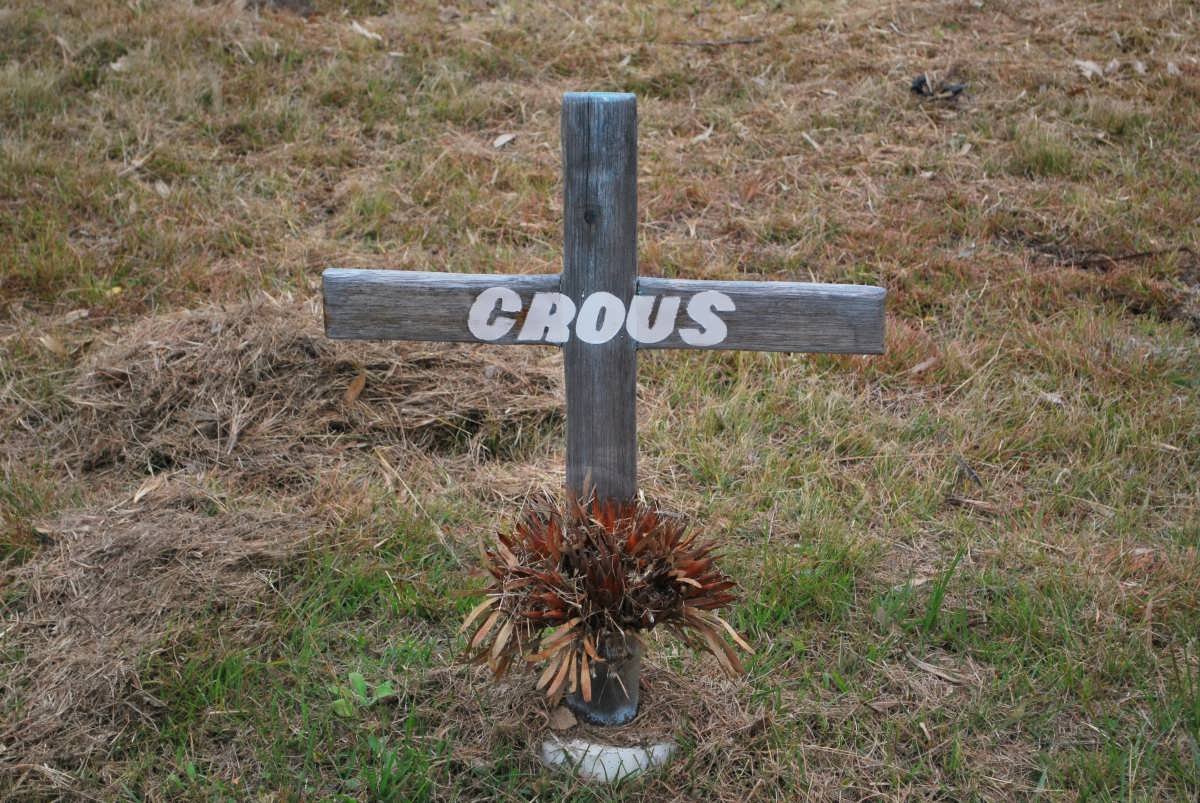 CROUS ?
