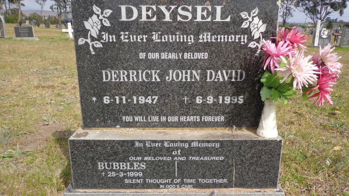 DEYSEL Derrick John David 1947-1995 :: DEYSEL Bubbles -1999