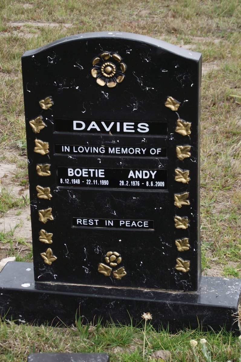 DAVIES Boetie 1948-1990 :: DAVIES Andy 1976-2009