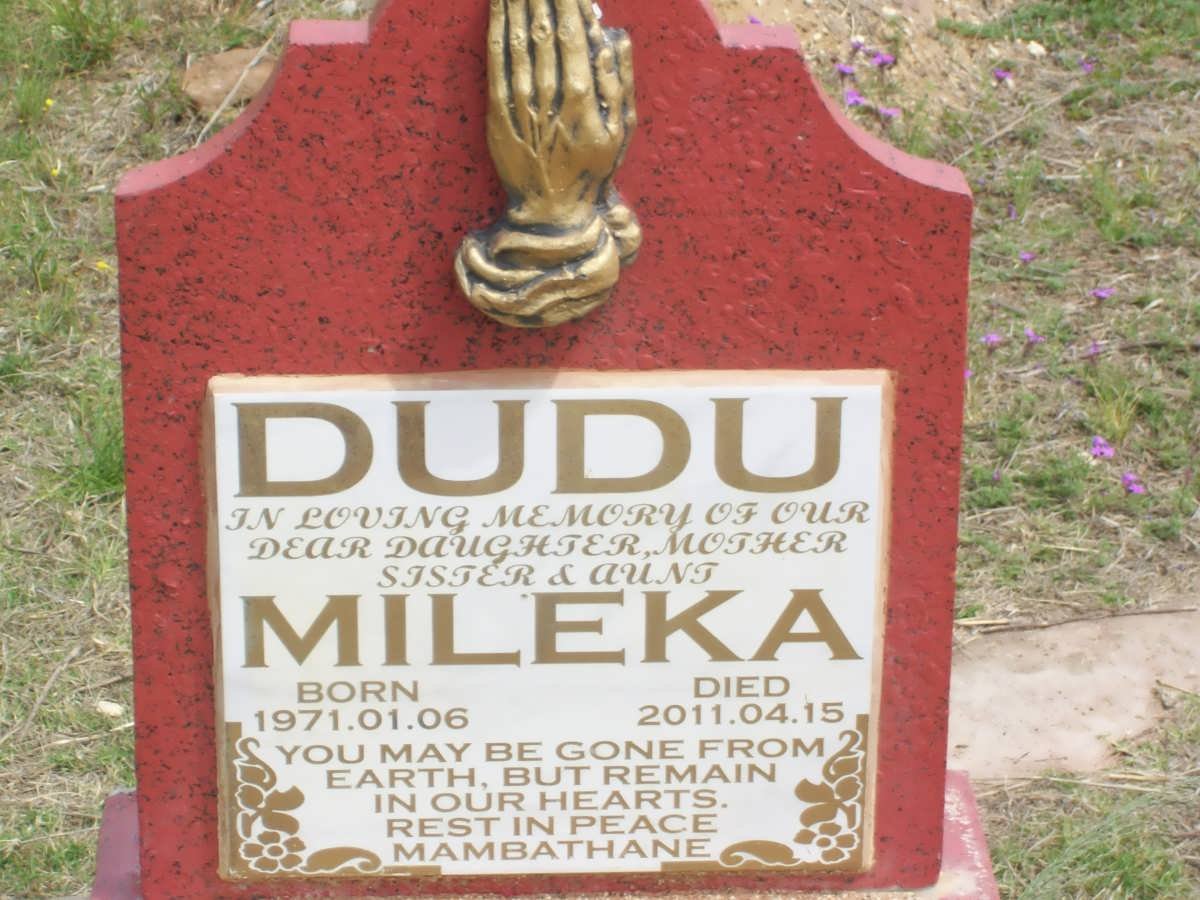 DUDU Mileka 1971-2011