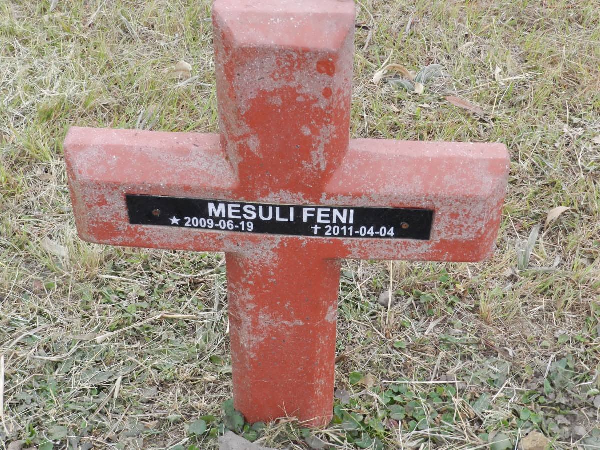 FENI Mesuli 2009-2011