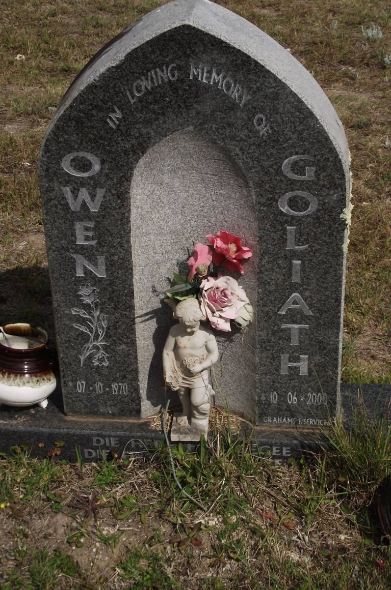 GOLIATH Owen 1970-2000