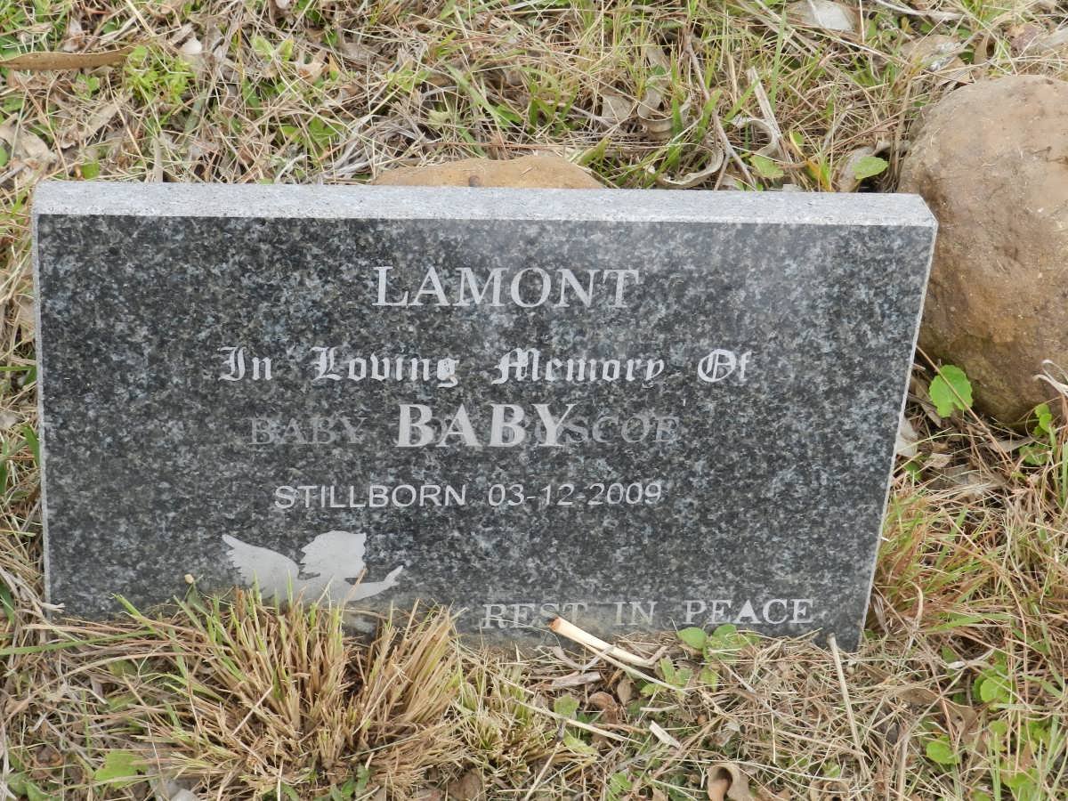 LAMONT Baby -2009