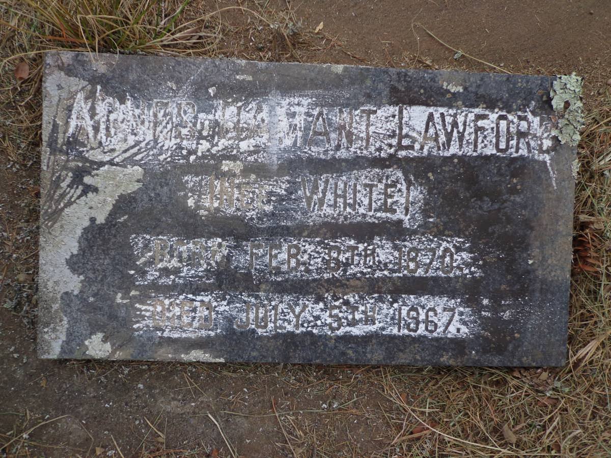 LAWFORD Agnes Gamant nee WHITE 1870-1967