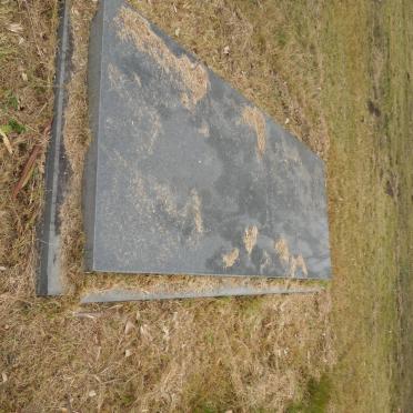 LEVY David -1963 &amp; Mabel Rose 1895-1978