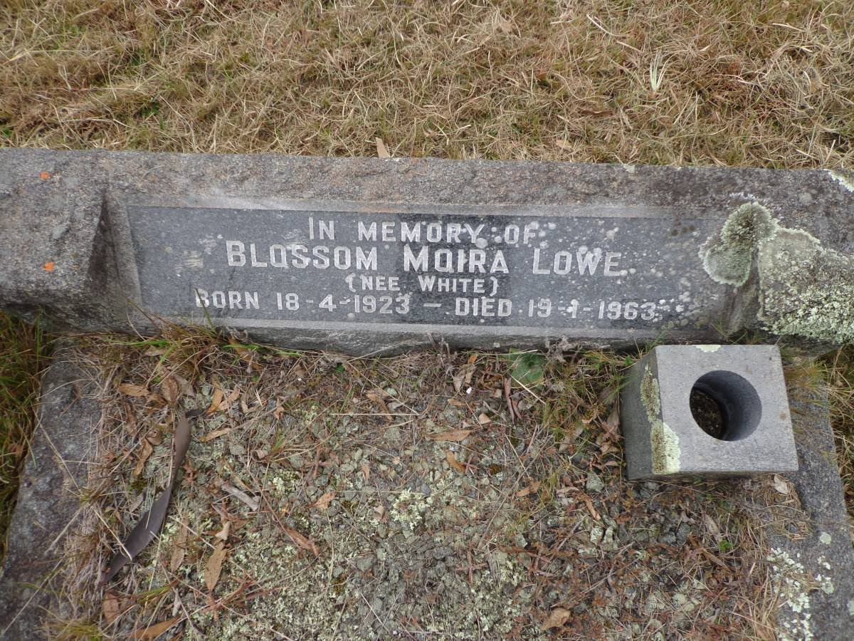 LOWE Blossom Moira nee WHITE 1923-1963