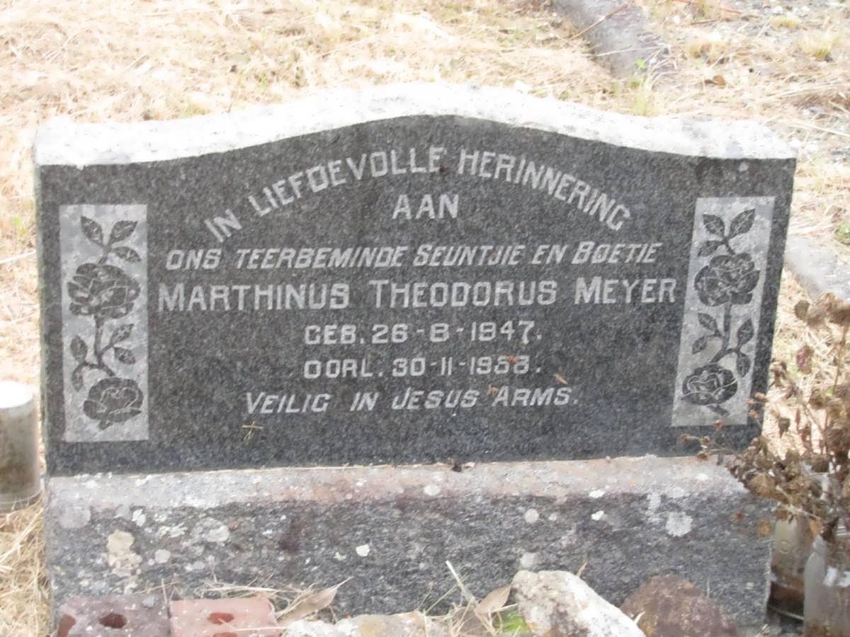 MEYER Marthinus Theodorus 1947-1958