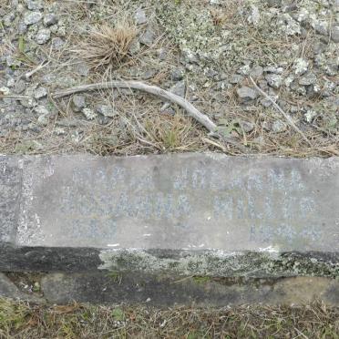 MILLER Maria Johanna Susanna 1853-1944