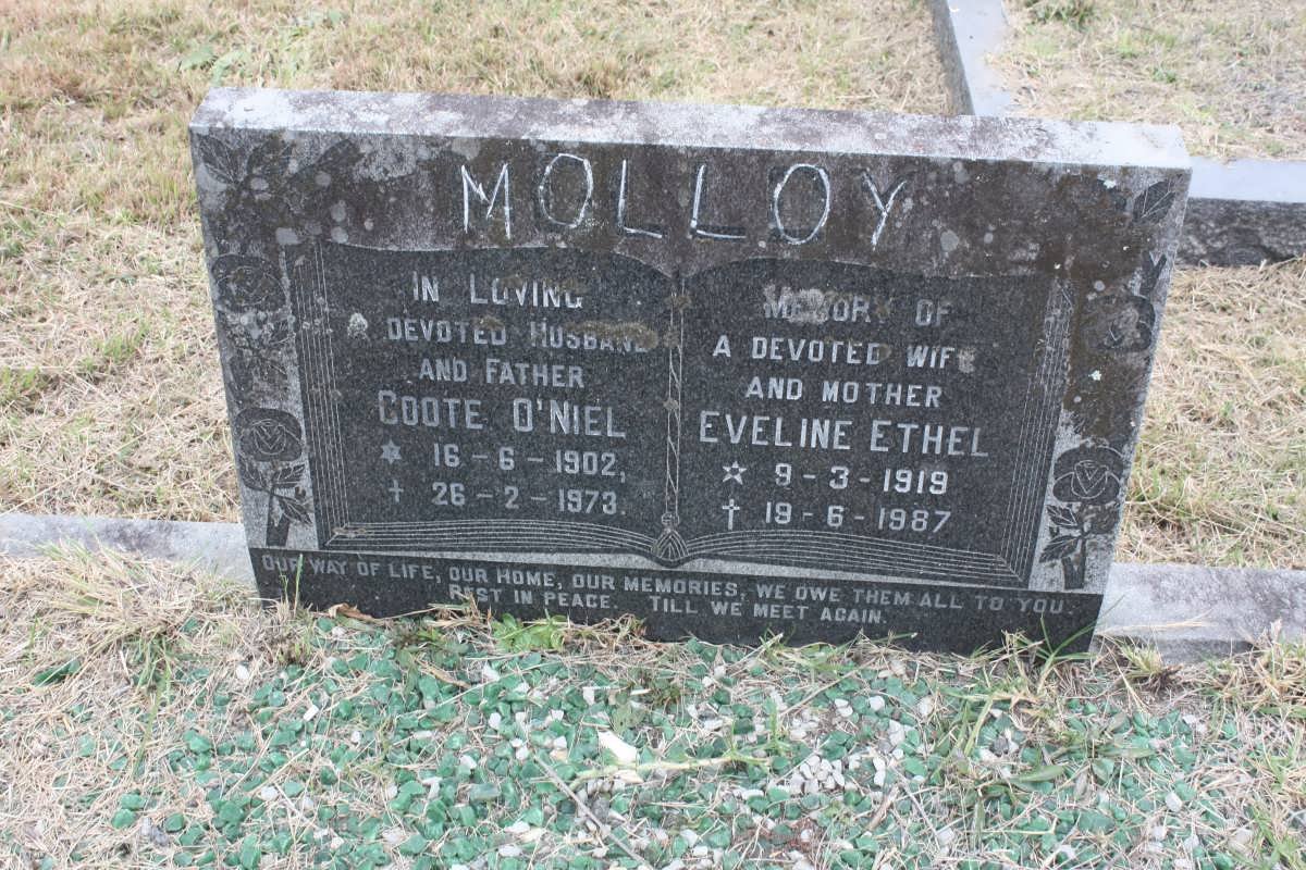 MOLLOY Coote O’Niel 1902-1973 &amp; Eveline Ethel 1919-1987