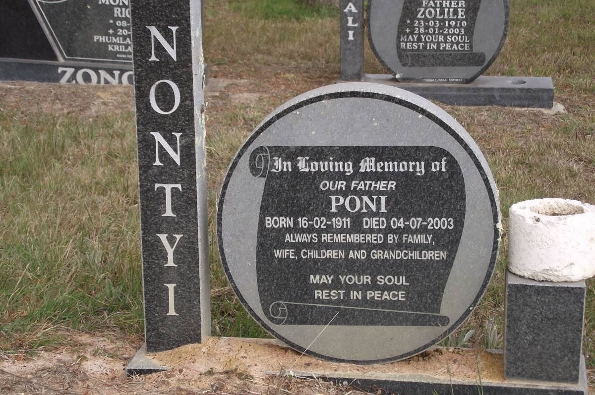 NONTYI Poni 1911-2003