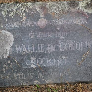 PUCKERT Wallie -1901 &amp; Cokoline -1901