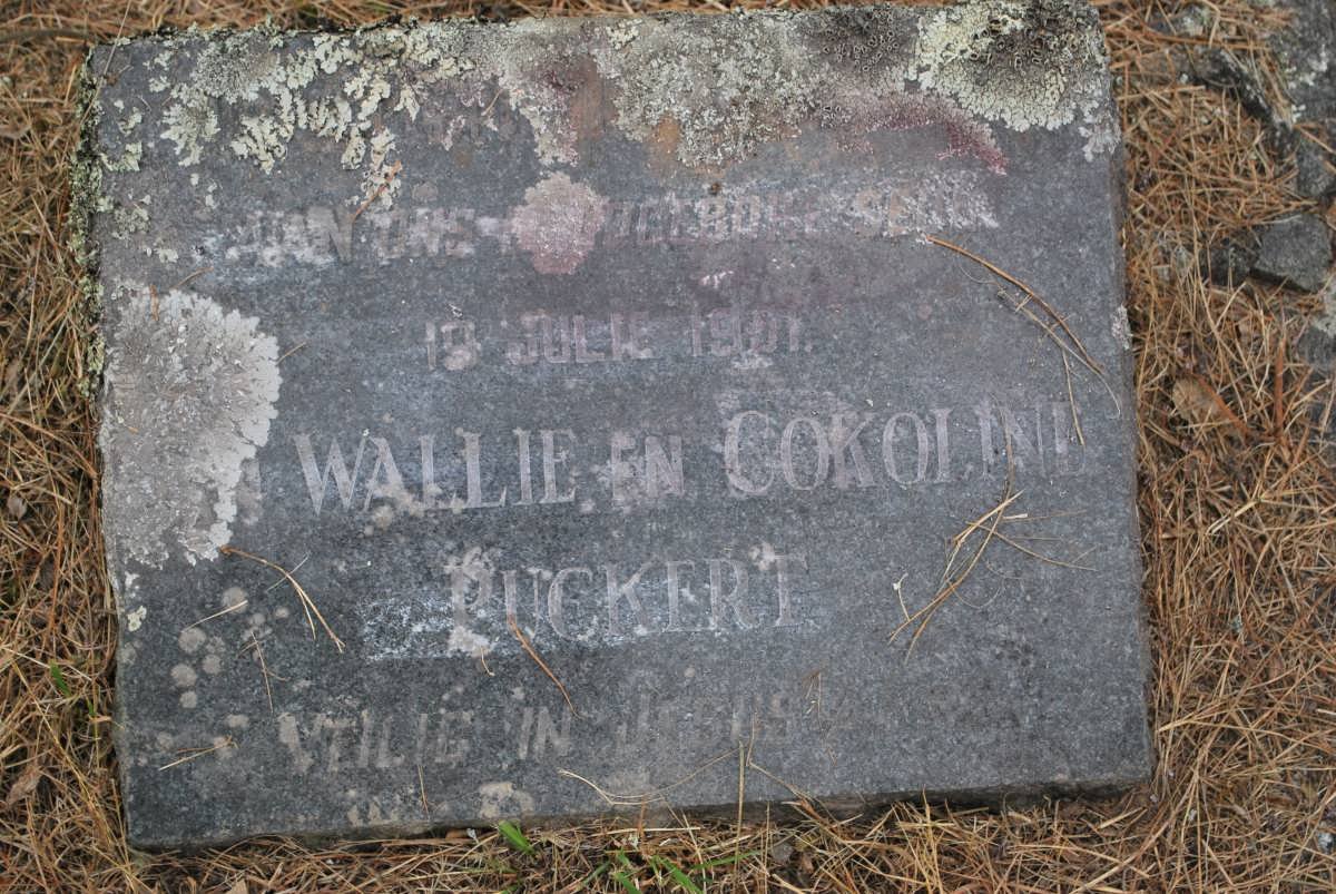 PUCKERT Wallie -1901 &amp; Cokoline -1901