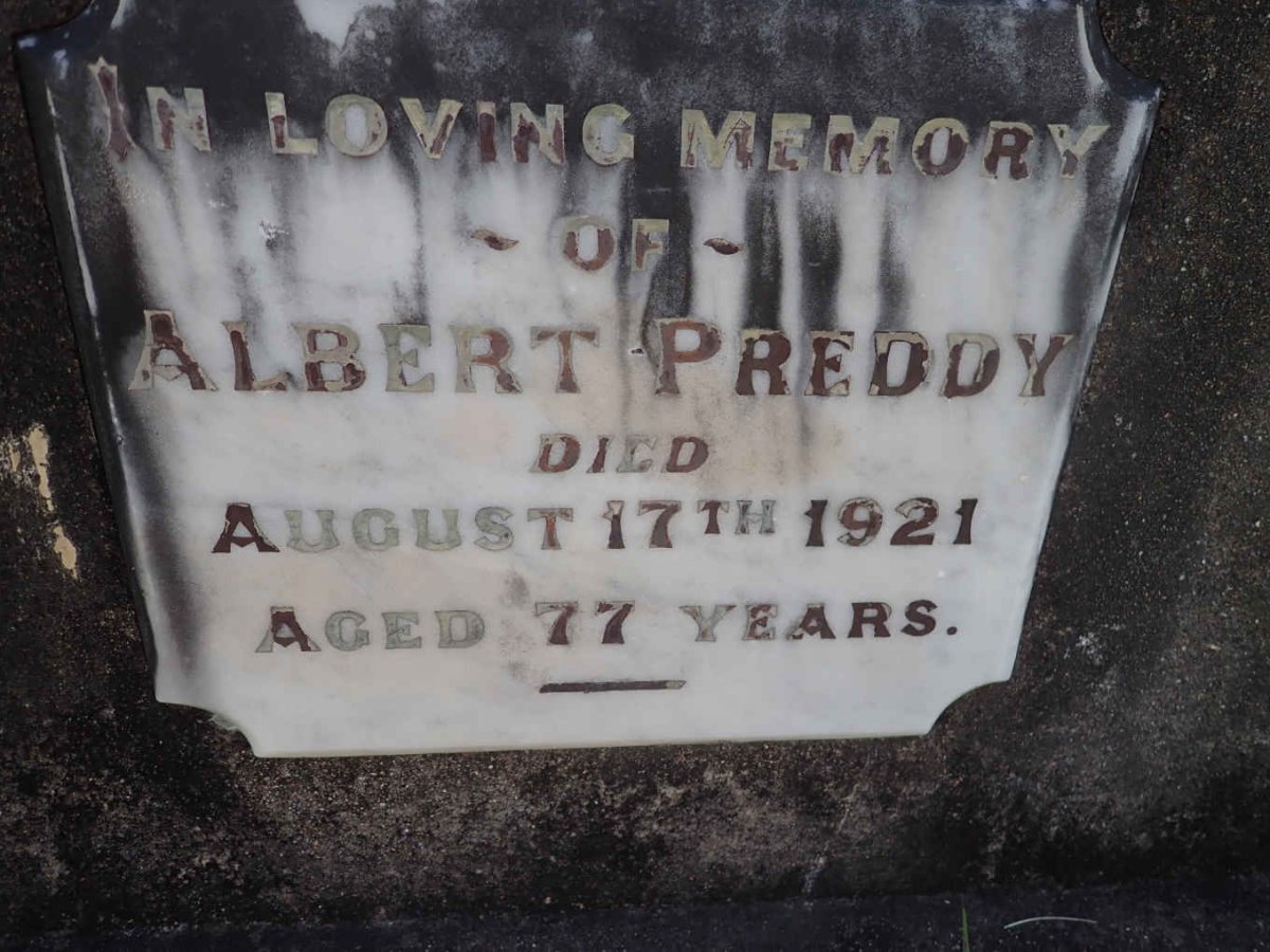PREDDY Albert -1921