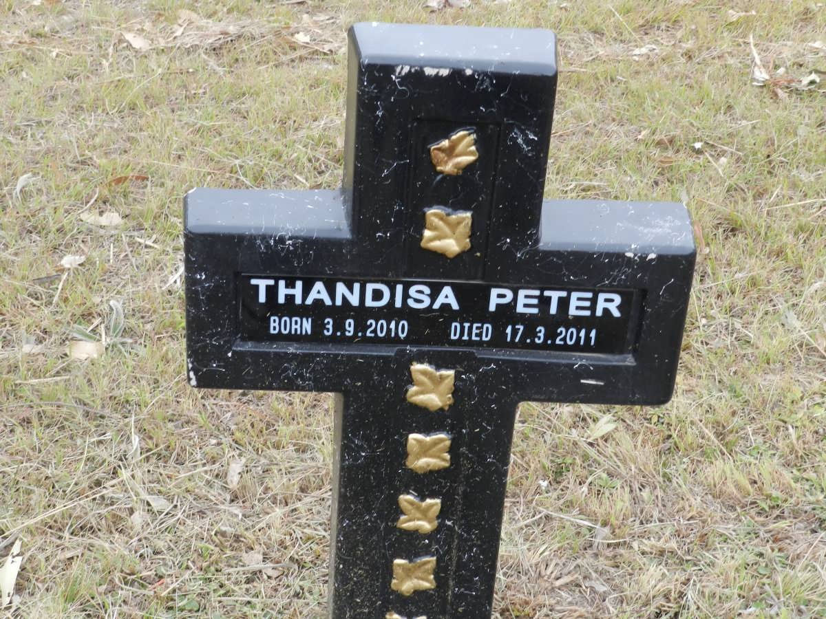 PETER Thandisa 2010-2011