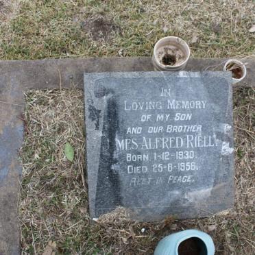 RIELLY James Alfred 1930-1956