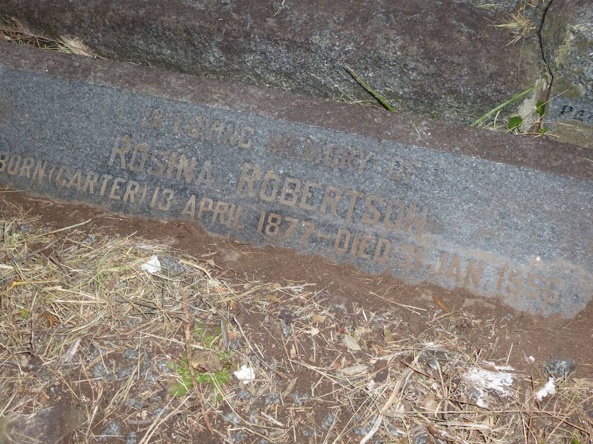 ROBERTSON Rosina nee CARTER 1877-1956