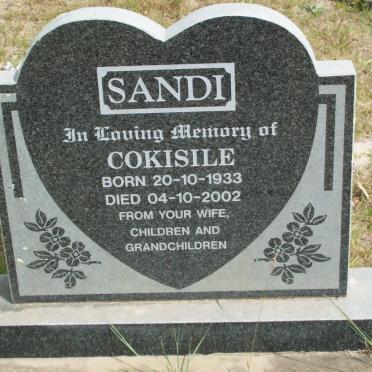 SANDI Cokisile 1933-2002