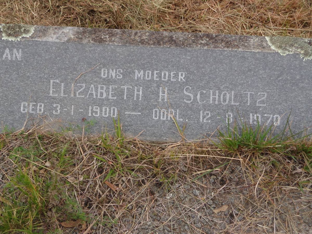 SCHOLTZ Elizabeth H. 1900-1970