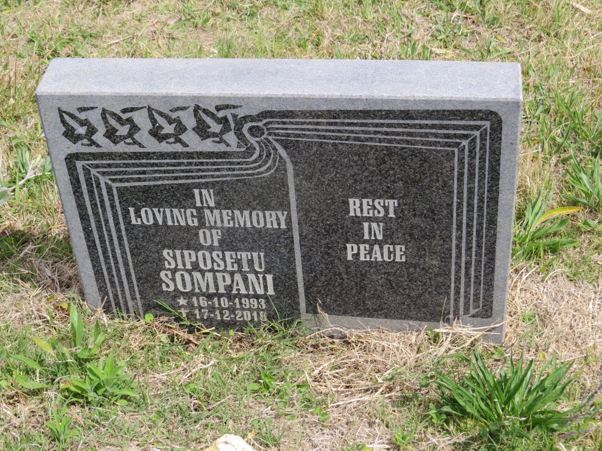 SOMPANI Siposetu 1993-2010