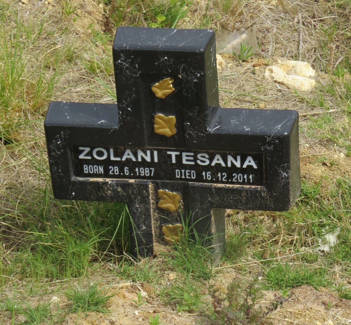TESANA Zolani 1987-2011