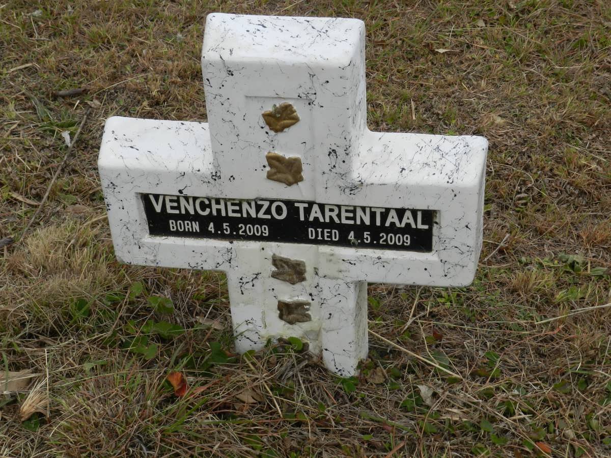 TARENTAAL Venchenzo 2009-2009