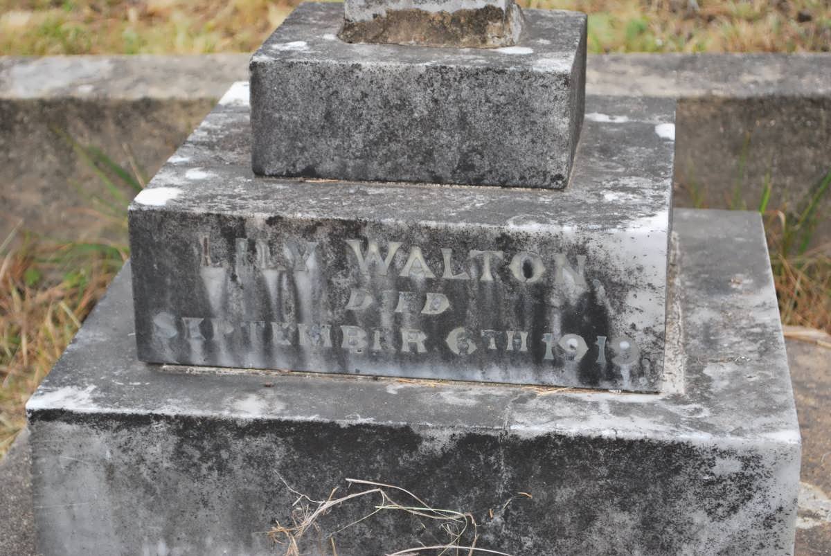 WALTON Lily -1919