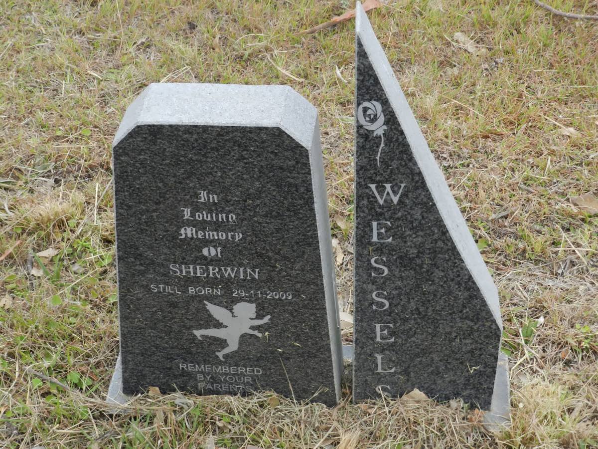 WESSELS Sherwin -2009