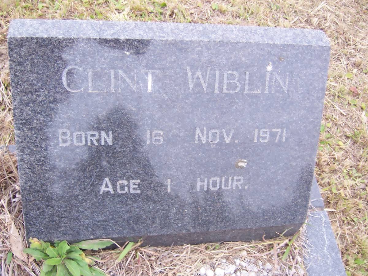WIBLIN Clint 1971-