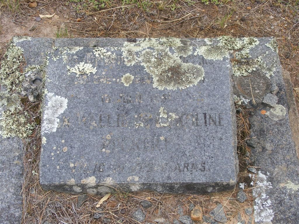 ? Caroline