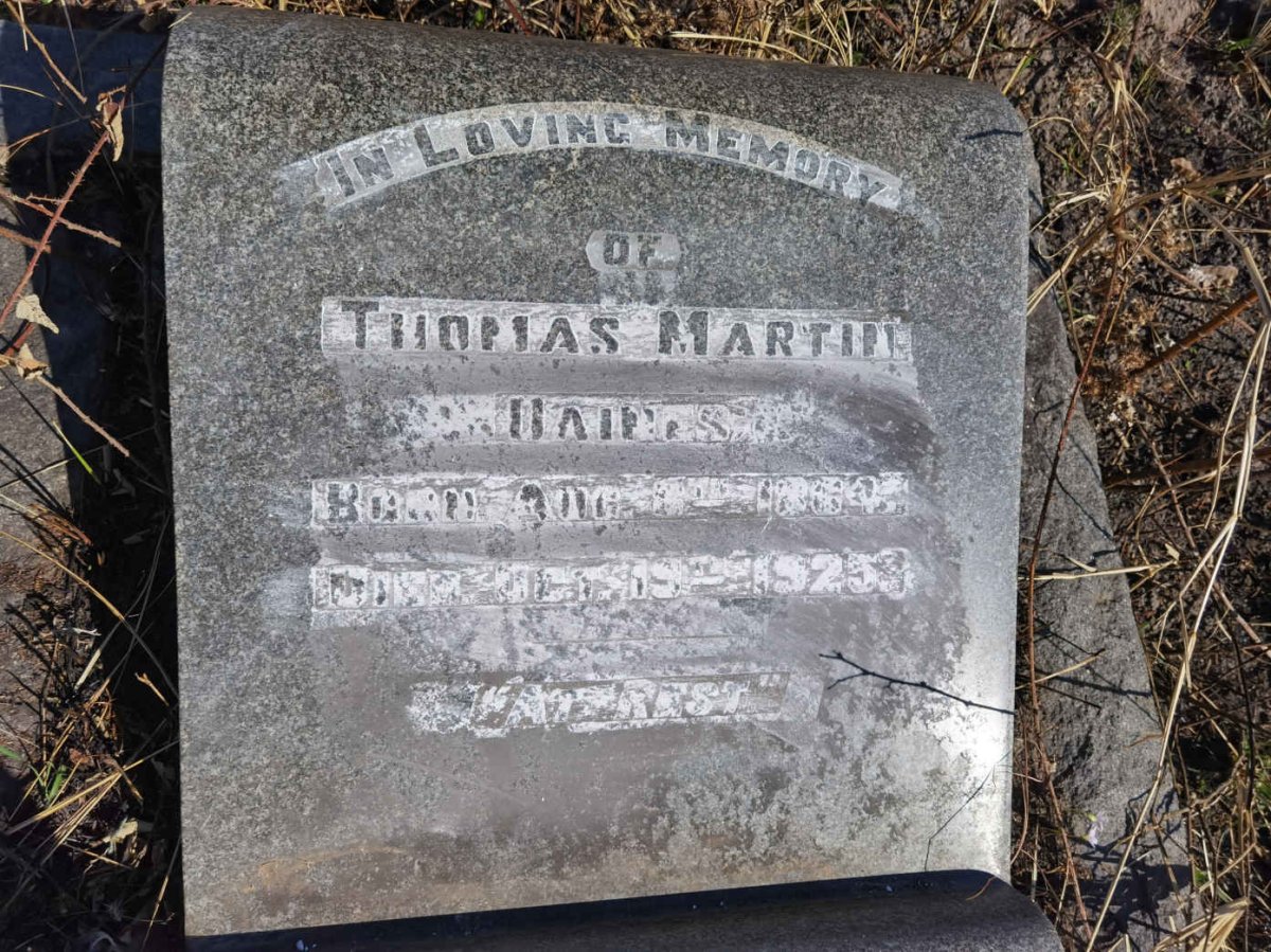 DAINES Thomas Martin 1864-1925