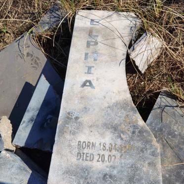 ? Elphia 1926-1997